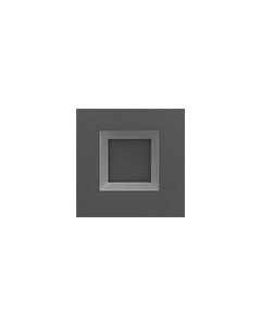 EM-Tec 200nm silicon nitride membrane, 0.25x 0.25mm window, 100Ã‚Âµm frame